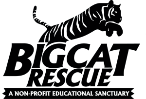 big-cat-rescue-logo Bigcat Rescue